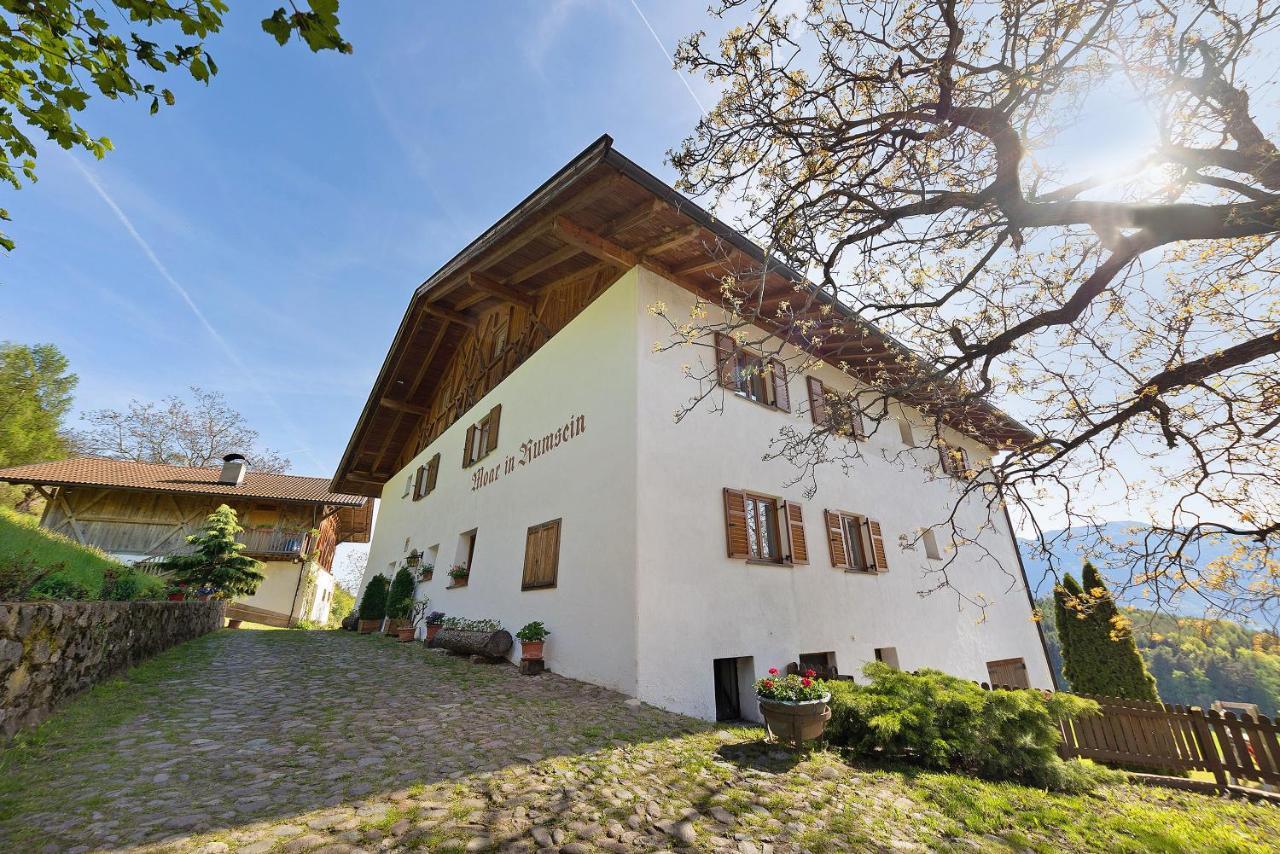 Moar Im Rumsein - Apt Saltenblick Terlano Buitenkant foto